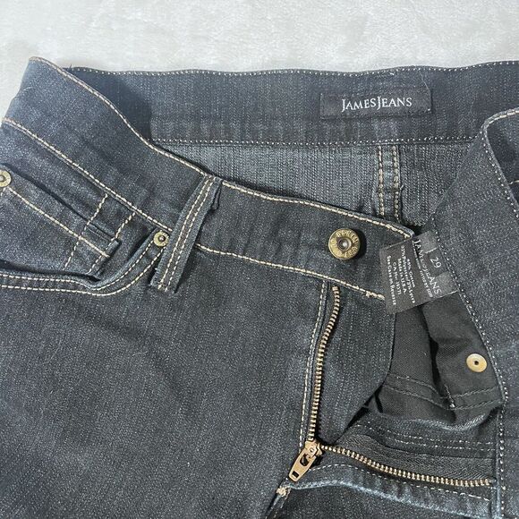 James Jeans Black Cat Wash Size 29 Twiggy Leg Denim Jean Made USA Stretch 30x29‎ - Picture 1 of 8